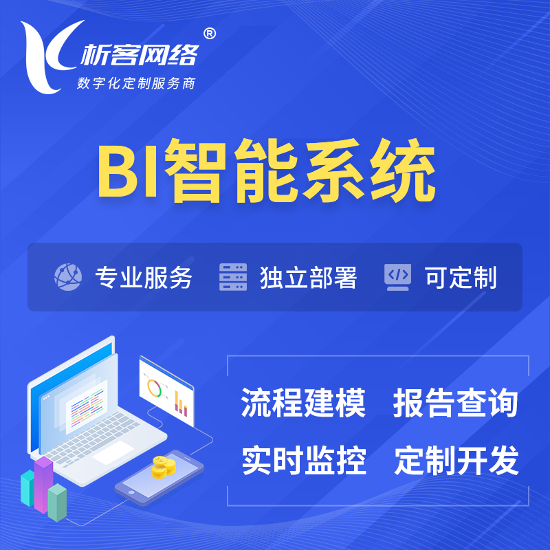 惠州BI智能系统 | BI数据可视化